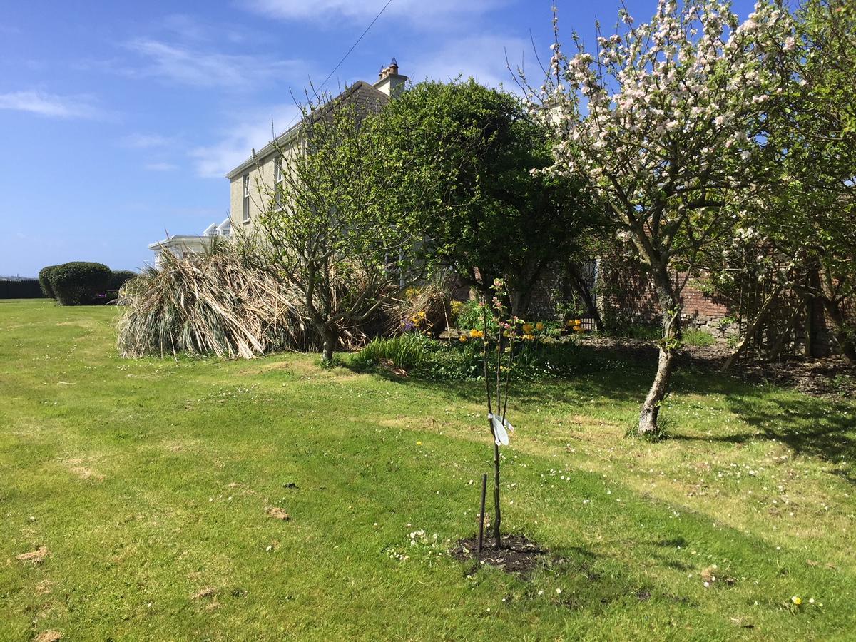 Berry Lodge Country House Spanish Point Eksteriør bilde
